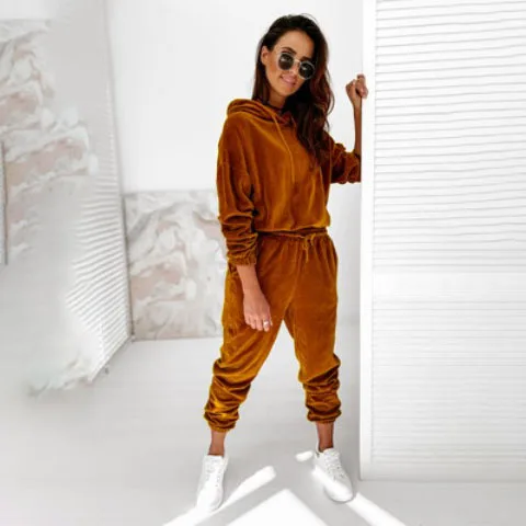 

Top Sale Solid Color Long Sleeves Tops Sets Women Drawstring Pants Joggers Fashion Suits Comfortable Women Velvet Two Piece Set, Picture shows