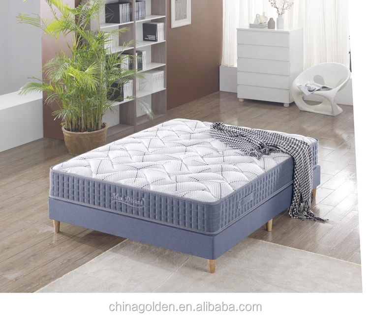 MF2019-P1# (1).jpg