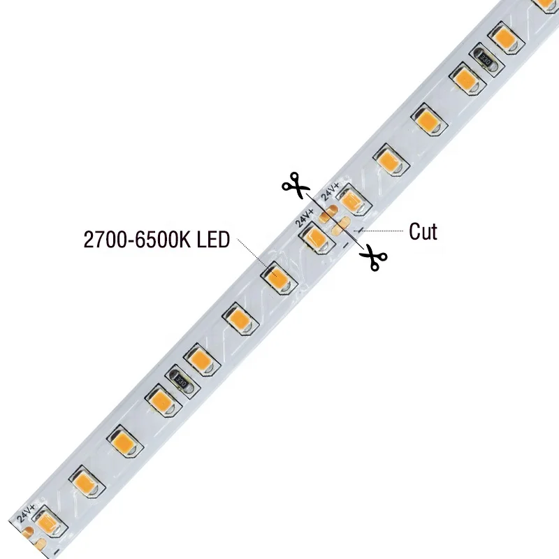 

High Efficacy SMD2835 DC24V LED Strip Light Cool White 6500K High Brightness Lumen LED Stripe For Indoor Outdoor Decoration