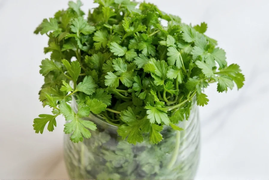 Coriander stored in glass of water with plastic bag cover in refrigerator