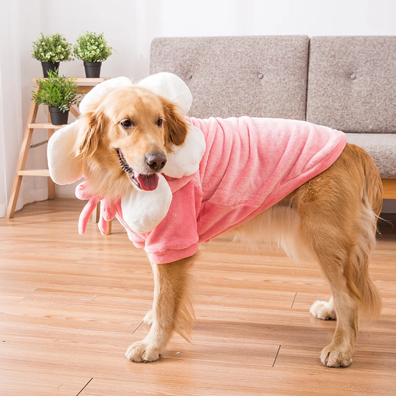 Vendors for dog clothes Clearance