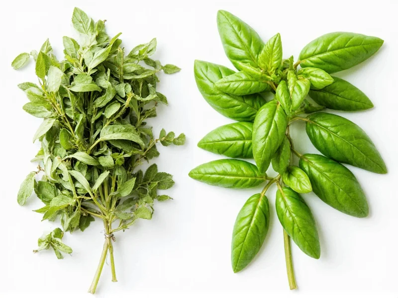 Dried Basil Conversion: 1 Tbsp Dried = 3 Tbsp Fresh Basil