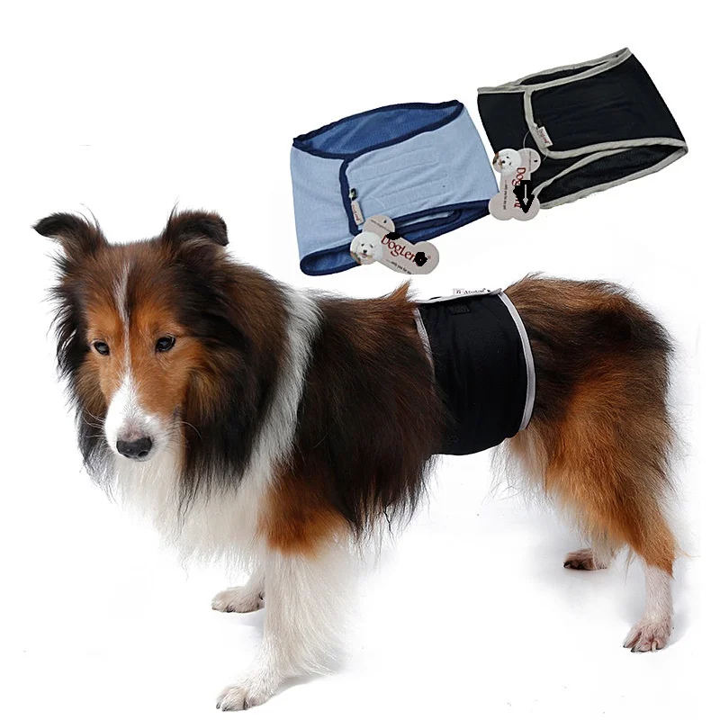

Pet male dog physiological pants new protective pants summer dog leggings restraint pants dog etiquette belt