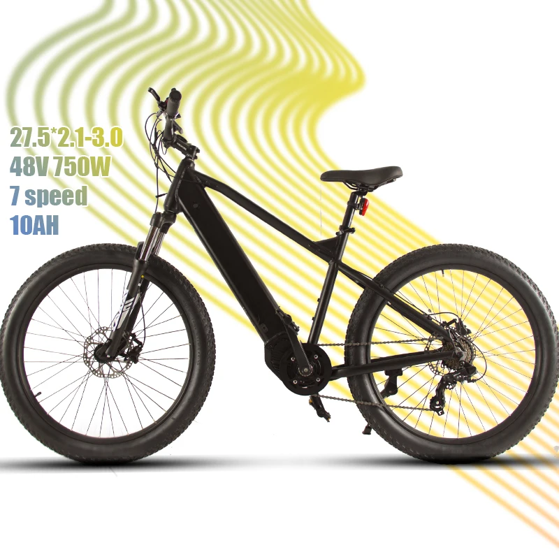 

bicycle electric bike amazon hot selling 750w 1000w motor e-bike fat tire mountain bike fatbike electric bicycle bike