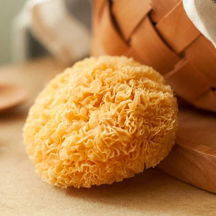 
High Quality 100% Natural Snow Fungus Tremella Mushroom Fuciformis 