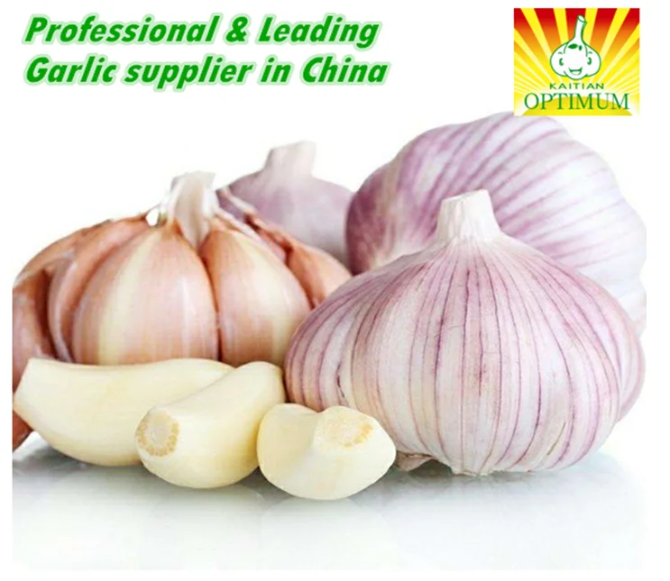 Fresh Style And Common Cultivation Type Fresh White Garlic/ Garlic Box