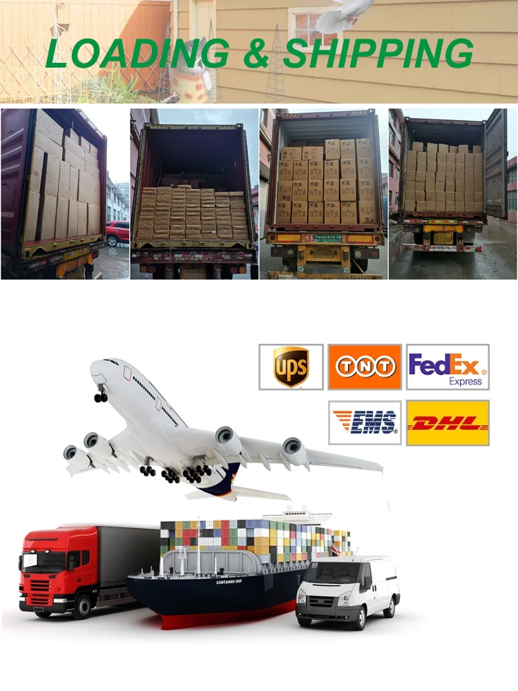 6 LOADING & SHIPPING.png
