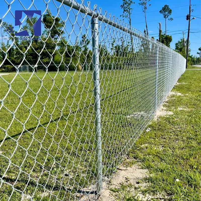 

Industry Price 8ft High Galvanized PVC Coated Wire Mesh Roll Chain Link Fence For Sale