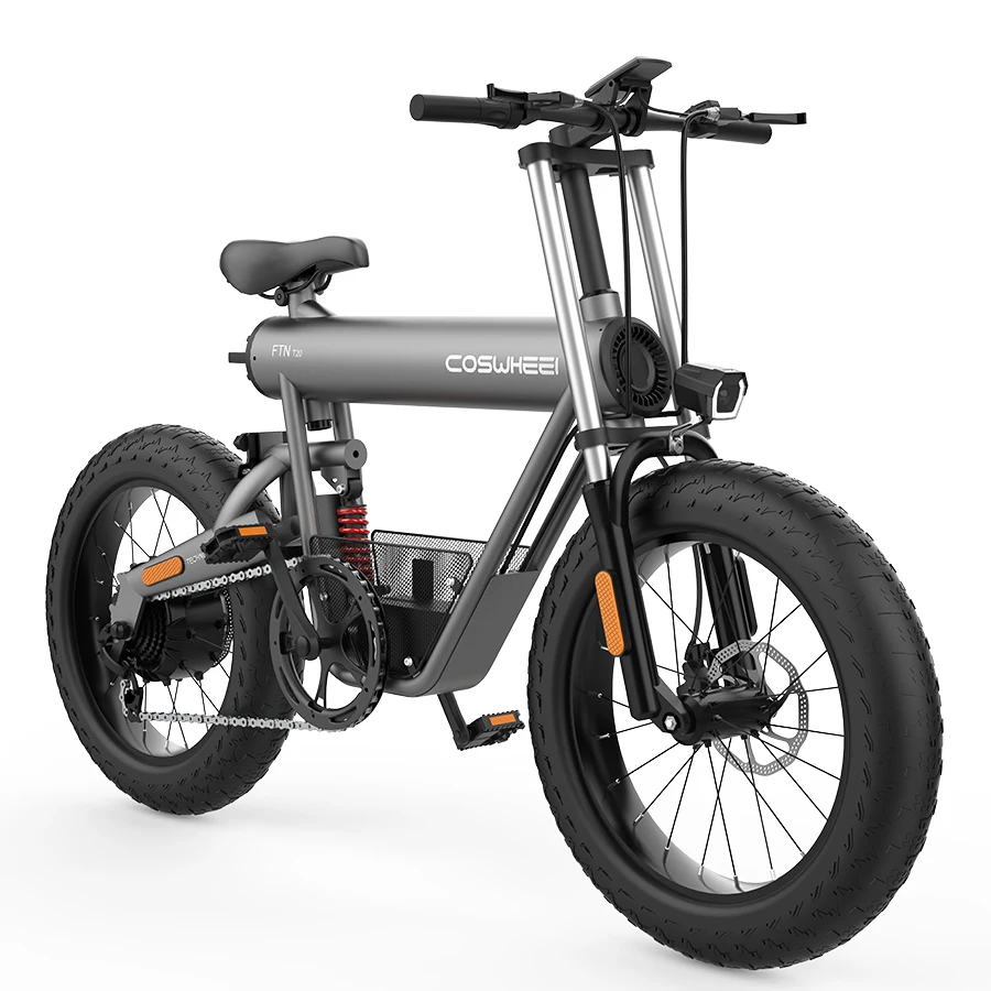 

Coswheel T20 Go To Work To School Electric Bike Fast Transport Electric Bike Good Quality Electric Bicycle