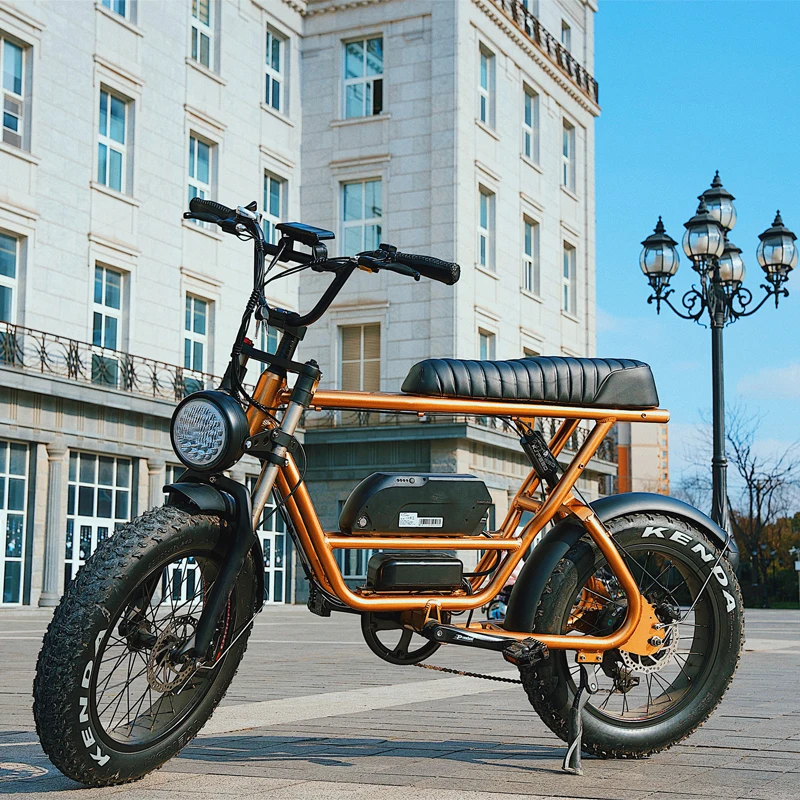 

High Power Electric Full Suspension Electric Mountain Bike for Adults Electric Super Bike