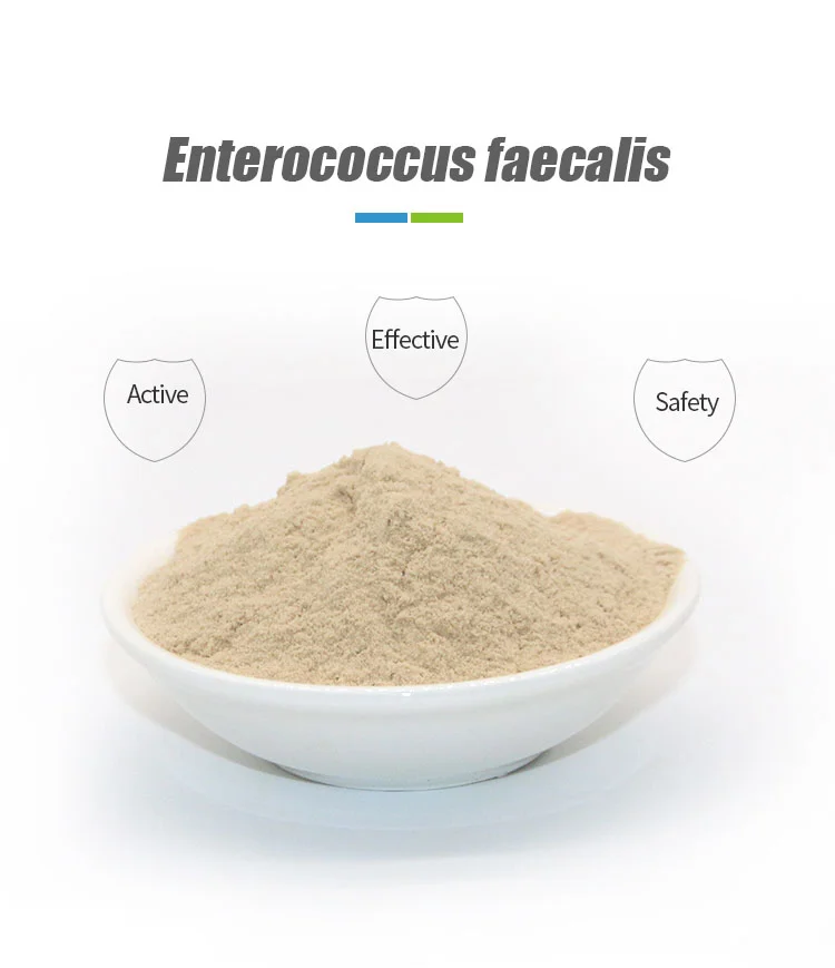 Enterococcus faecalis 10 в 6. Enterococcus faecalis 10 в 6