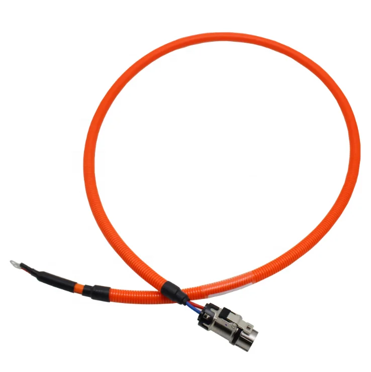 Ptc Highvoltage Input Wiring Harness Customized Automotive Wiring