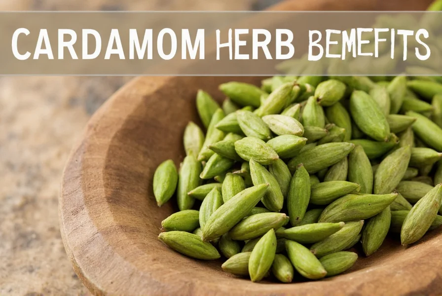 cardamom herb benefits