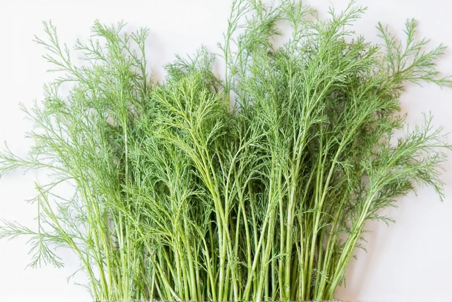 Dill Conversion Chart