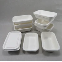 

Biodegradable Disposable Sugarcane Bagasse Food Tray