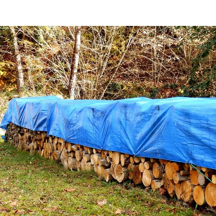 
High Quality Plastic Waterproof PE Tarpaulin 