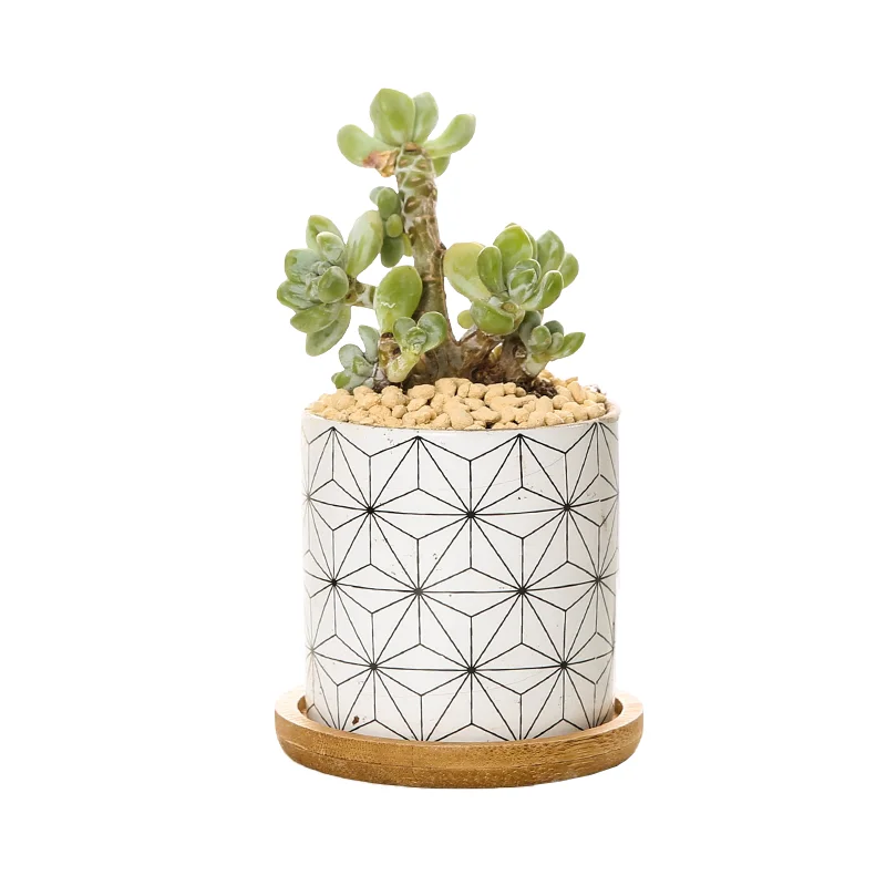 

Garden Decorative Plant Pot Modern Style Fashion Design Ceramic Flowerpot