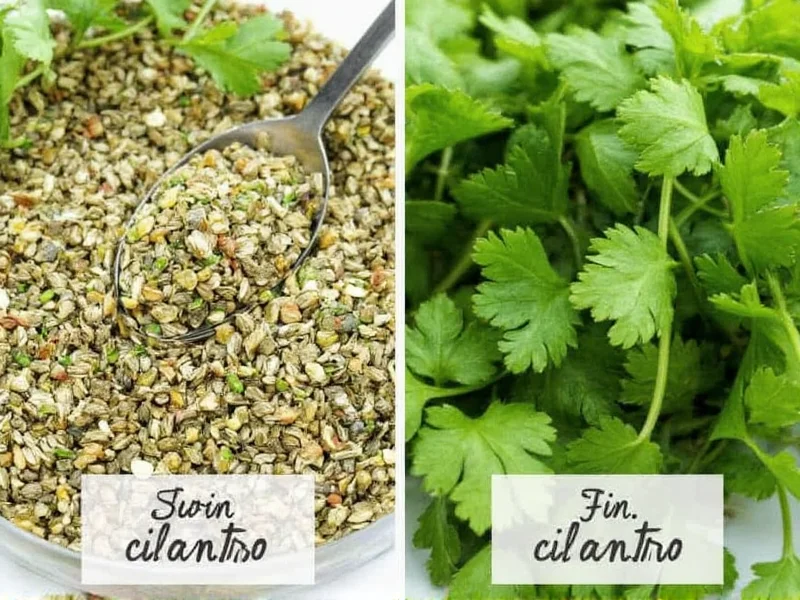 Fresh to Dried Cilantro Conversion: Exact Ratio & Tips