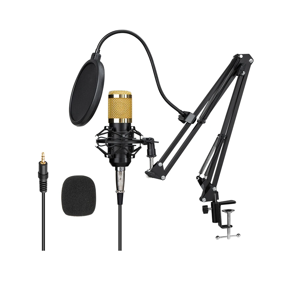 

Hot Sale Pro Studio Condenser Microphone With Microphone Scissor