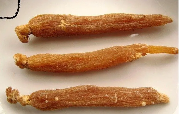 
Chinese Herb Material Wild Ginseng Root Top Quality White Ginseng Root 