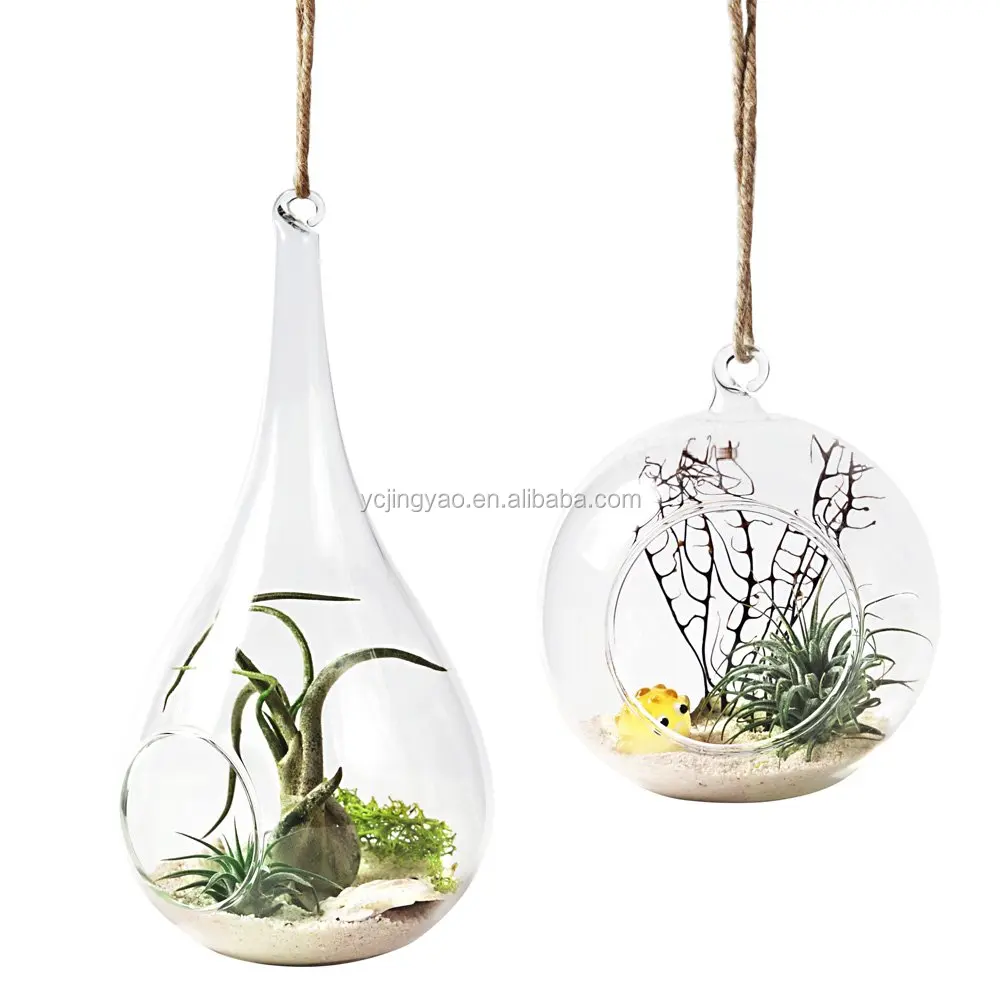 

hand made hanging water drop glass air plant terrariums, Clear