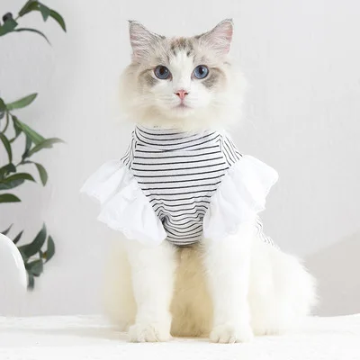 

Factory Production Wholesale Soft New Cat Cloth Beautiful Pet Dress Cat