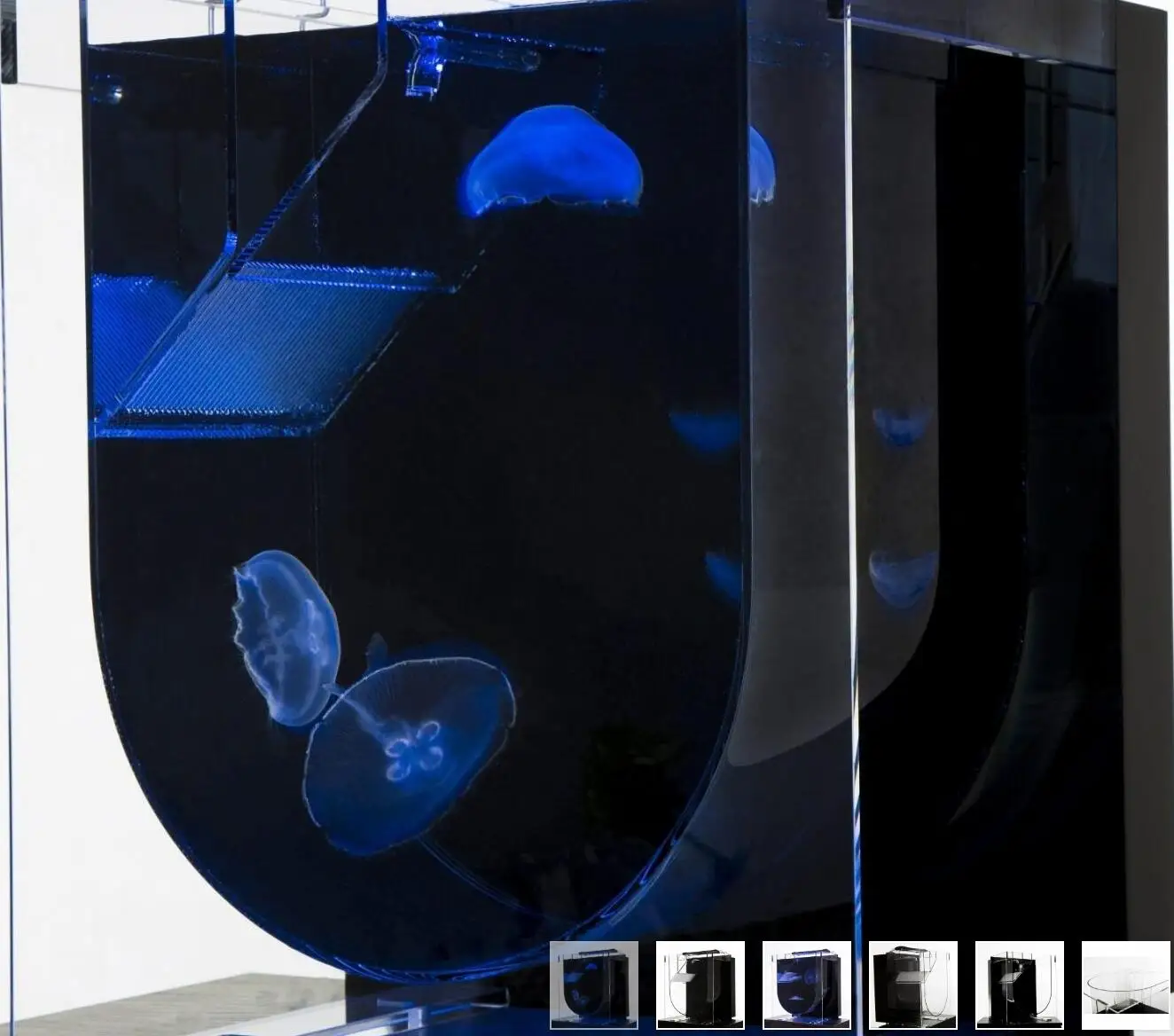 

Medusa Desktop Jellyfish Aquarium