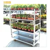 Factory Sale Flower Transport Containers/ Plant Nursery Shelves