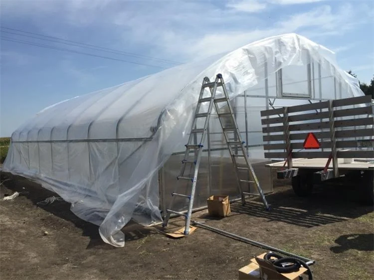 single span greenhouse 53.jpg