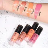 

New Cheap Brand Make Up Cream Blusher Cosmetics Blush Liquid