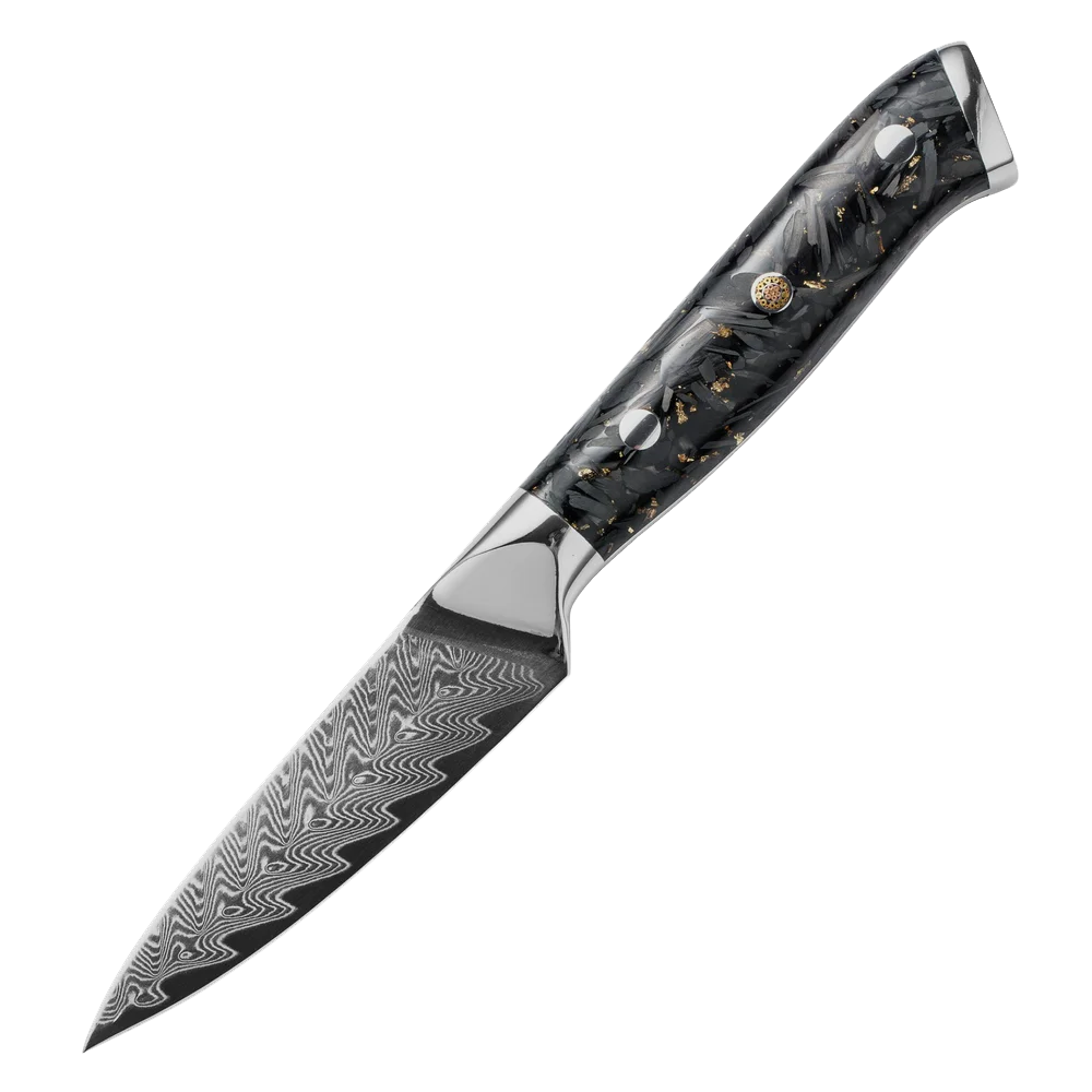 

3.5 inch Paring Knife Damascus Kitchen Knife 67 Layers Damascus Steel with Acrylic Handle Black