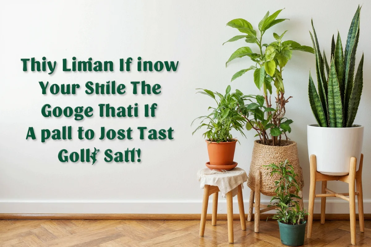 Best Indoor Plants That Clean the Air Naturally