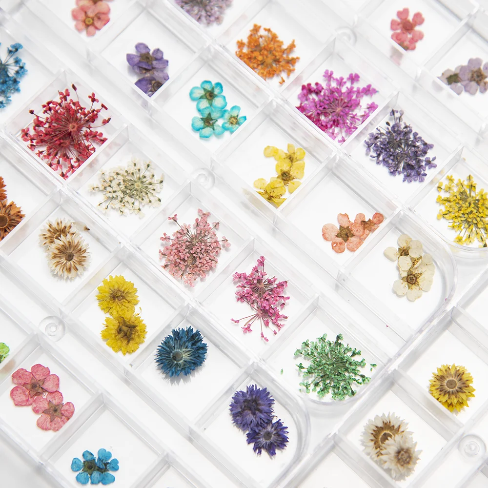 

24pcs/box nail dried flowers multi colors natural pressed dry flower decoration mini nail art dry flower, 12 colors