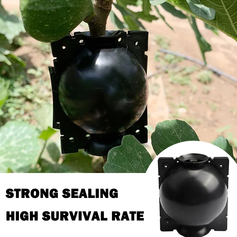 

Plant Rooting Grow Box Plant Root Propagation Ball Container Grafting Box to Root Booster for Outdoor Garden, Black/whte