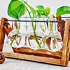 Fancy Decoration Hanging Planter Glass Vase With Wood Base