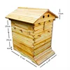 beehive mini auto automatic honey outflow stingless free flow beekeeping equipment auto flow honey bee hive
