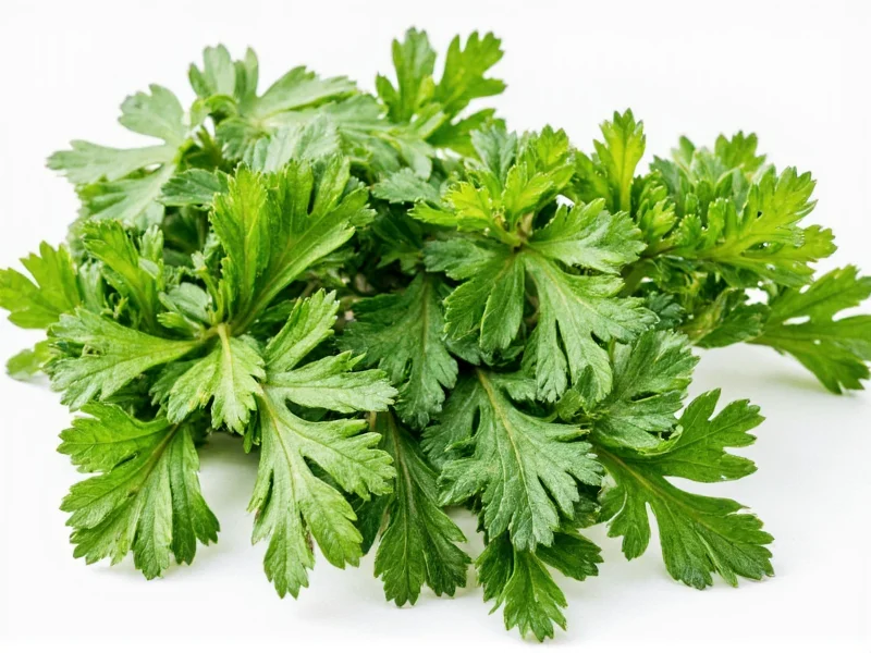 Dried Parsley Substitute Ratio: Perfect Fresh Herb Replacement