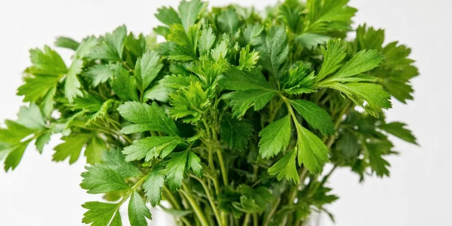 Spanish parsley garnish on finished dish