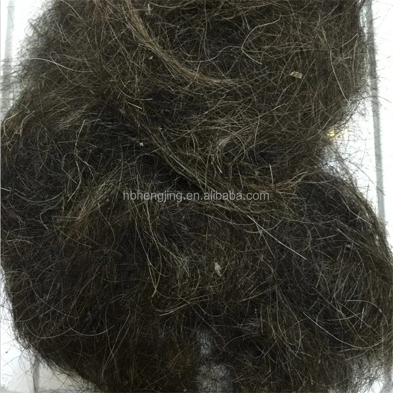 Horse hair combings.jpg