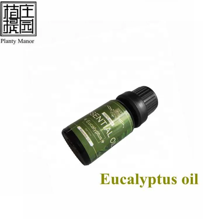 

100% pure natural blue eucalyptus oil in bulk for Super September