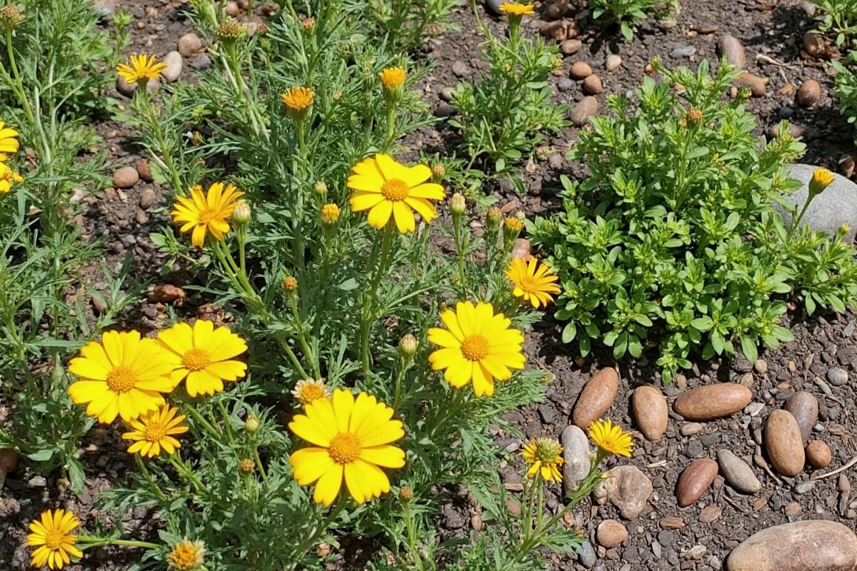 Boost Your Garden with Eco-Friendly Plant Culture Tips