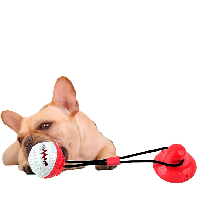 

Manufacture durable Pet Molar Bite tooth cleaning toy with TPR Suction Cup, As picture