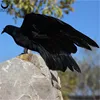 2019 New Best Price Feather Owl Crow Raven Decoy Handmade Hard Body Bird Scarer Feathered Dead Crow Hunting Decoy