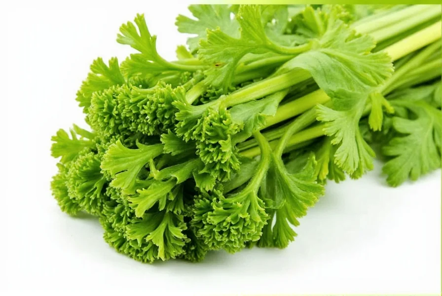 Celery Seed Substitute for Celery: Accurate Ratios & Tips