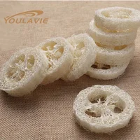 

DIY Loofah Luffa Premium Slices, loofah Slices for Making Luffa Soap