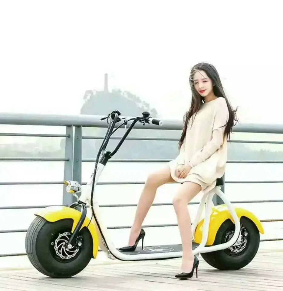 EU warehouse high citycoco 2000 watt 3 wheel electric scooter 1500W 60V citycoco removable battery fast delivery 4-5 days