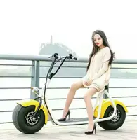 

EU warehouse high citycoco 2000 watt 3 wheel electric scooter 1500W 60V citycoco removable battery fast delivery 4-5 days