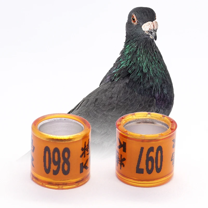 

Geshifeng Factory 10.3mm Height Size Racing Pigeon Band Training Pigeon Foot Ring, Many colors available