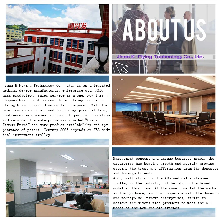 Company introduction