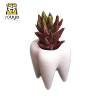 

New Tooth-shape Flower Pot Ceramic Flower Pot Desktop Green Flower Pot